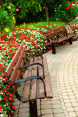 Image showing Formal garden