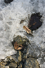 Image showing Frozen