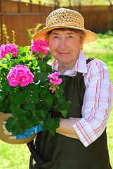 Image showing Senior woman gardening