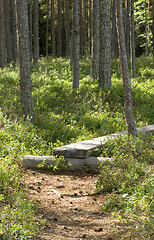 Image showing Boardwalks