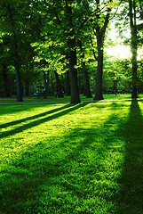 Image showing Green park