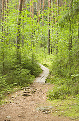 Image showing Boardwalks