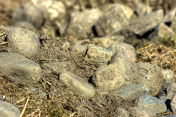 Image showing Stones