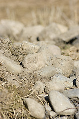 Image showing Rocks