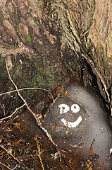 Image showing Happy stone