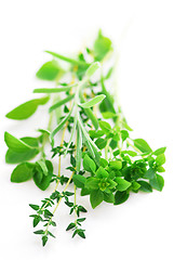 Image showing Assorted herbs