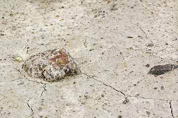 Image showing Stone