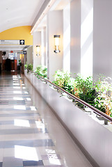 Image showing Hospital corridor