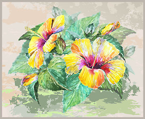 Image showing Greeting card with hibiscus. Illustration hibiscus.