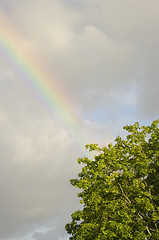 Image showing Rainbow
