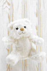 Image showing Teddy bear