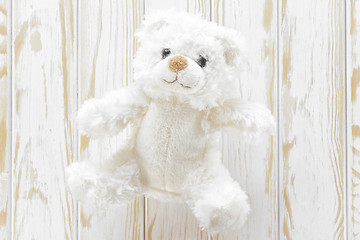 Image showing Teddy bear