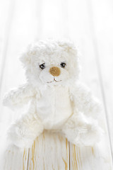 Image showing Teddy bear