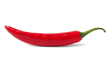 Image showing Red hot chili pepper