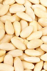 Image showing Peeled sweet almonds background