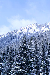 Image showing Winter mountain