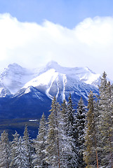 Image showing Winter mountains