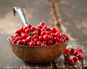 Image showing bowl of fresh cowberries