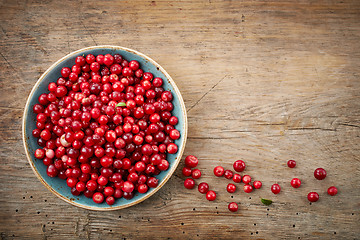 Image showing bowl of cowberries