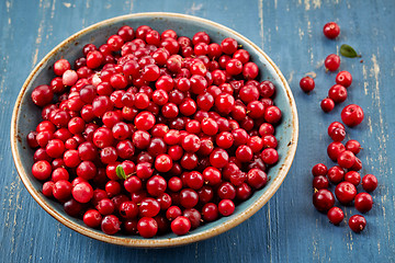 Image showing bowl of cowberries