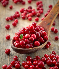 Image showing fresh raw cowberries