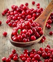 Image showing fresh raw cowberries
