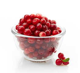 Image showing bowl of cowberries