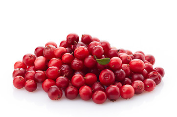 Image showing fresh red cowberries 