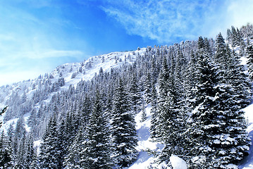 Image showing Mountain landscape