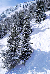 Image showing Ski tracks in mountains