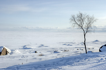 Image showing Winter