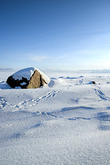 Image showing Winter