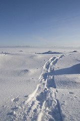 Image showing Footprints