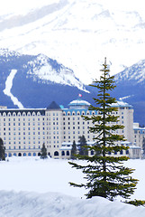 Image showing Chateau Lake Louise