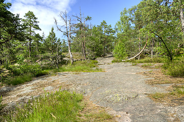 Image showing Landscape