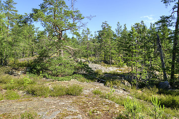 Image showing Landscape