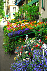 Image showing Flower stand in Paris