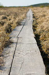 Image showing Boardwalks