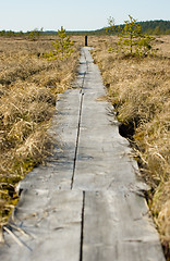 Image showing Boardwalks