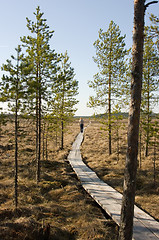 Image showing Boardwalks