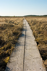 Image showing Boardwalks