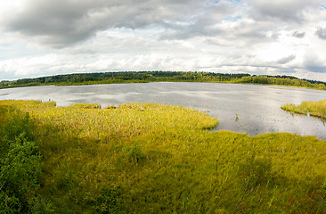 Image showing Wetland