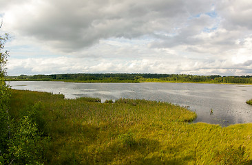 Image showing Wetland