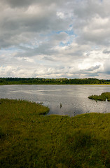 Image showing Wetland