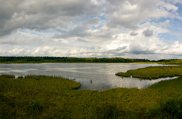 Image showing Wetland