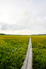 Image showing Boardwalks