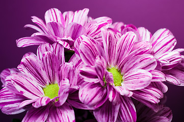 Image showing Bunch of flowers