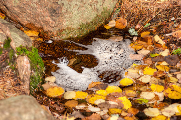 Image showing Puddle