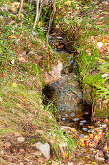 Image showing Stream