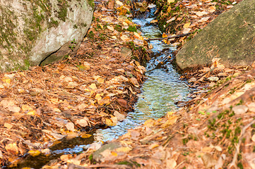 Image showing Brook